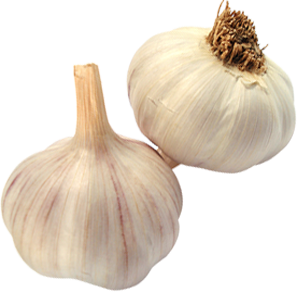 Dry Garlic